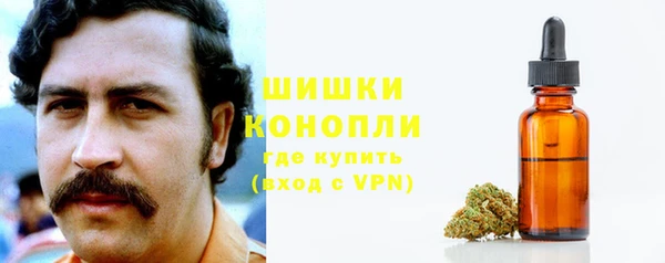 2c-b Белокуриха