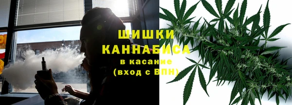 2c-b Белокуриха