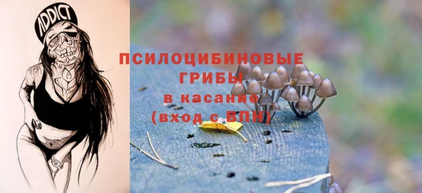 2c-b Белокуриха