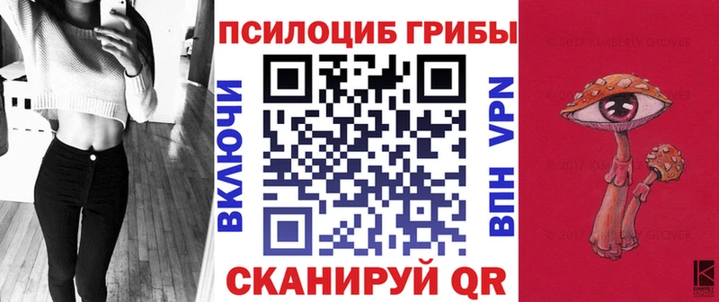 Псилоцибиновые грибы прущие грибы  MEGA как зайти  Салаир 