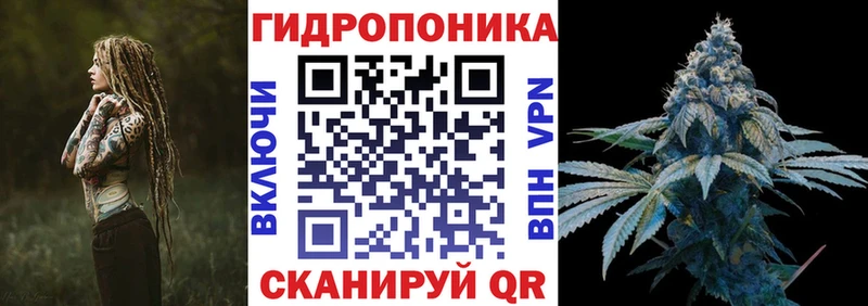 Конопля VHQ  Салаир 